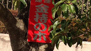 金持ちになりたさが尋常じゃない、この通り。