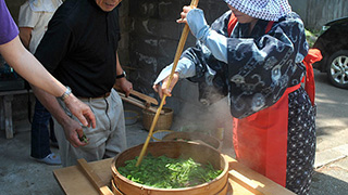 寒さにつよーいお茶の産地、松ケ岡で楽しめるお茶づくり体験。