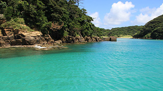 リゾートのようなラムネ色の海を満喫できる無人島。