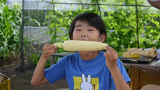 収穫したてのあま～いとうもろこしを生でかじれちゃう。