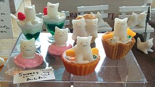 食べちゃいたくなる可愛さ！ねっこねこ展開催中