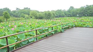 5:00～14:00の間だけ有料の謎とはいったい？