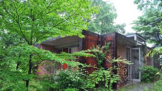 非日常、緑に抱かれて癒やされる隠れ家ギャラリー「DAR VIDA」