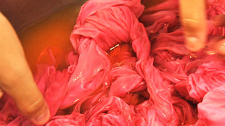 紅に染めてくれ…。親子で紅花染め体験