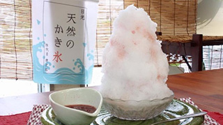 超美味しいたこ焼き屋だけど、期間限定のかき氷がこれまた超美味しい。