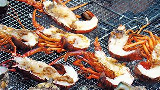 日本有数の水揚げ量を誇る外房から…飯テロ的伊勢えびが襲来です。