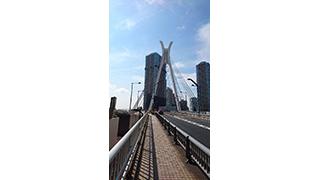 でで散歩(ででお)