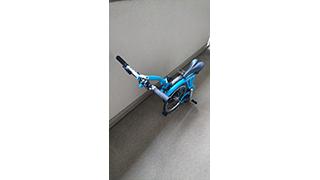 ポケモンは？　ポケモンは獲れたの？(ででお)