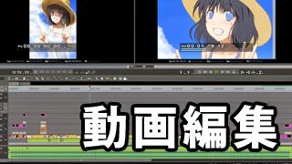 【ほぼ毎日雑記】動画が簡単に扱える時代――