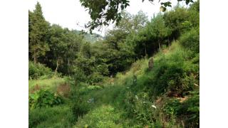 【幹事チョーのつぶやき】普通のつぶやき