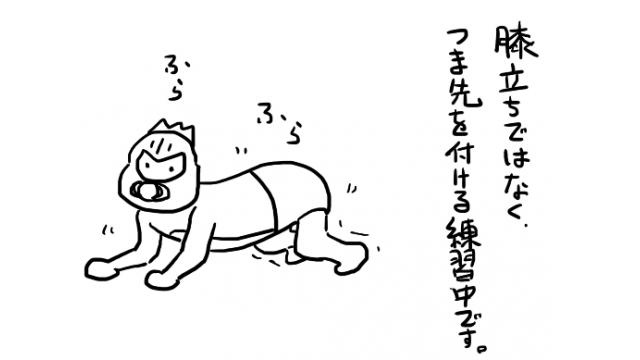 マオーとベイビーのほのぼの暮らし　9