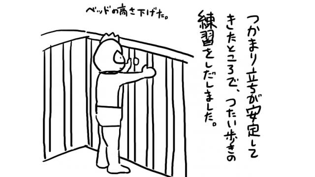 マオーとベイビーのほのぼの暮らし　13