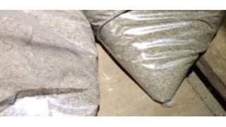 黄金に光る泥団子を目指して・2