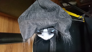 ノッチの日常記　マイクの話それから編