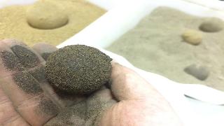 泥団子、その後・・・