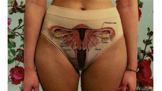 子宮から卵巣まで、リアルに描いた「膣パンティ」があった