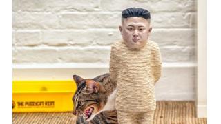 ネコが縛られた金正恩で爪を研ぐ！ スタイリッシュ不謹慎なキャットスクラッチポストが登場