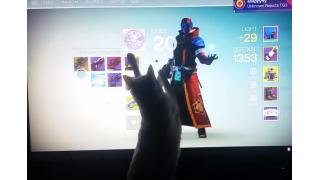 ネコさんがPS4の人気FPS「Destiny」で遊ぶと野生が刺激されてこうなる