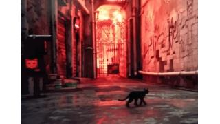 実写レベルで再現された香港の街を黒猫になって歩きまわる　海外アーティストが製作中のADVゲーム「HK」がすごい
