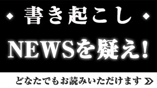 【参考人質疑 小川和久】2015年7月1日平和安全特別委員会｜テキスト版