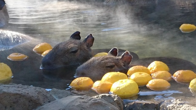 いろいろ振り返ってみよう。