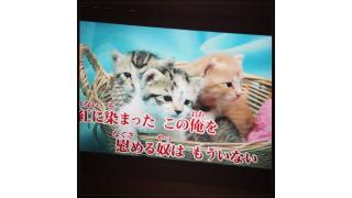 カラオケあるあるｗｗｗネコと紅が絶妙。
