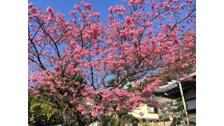 【あいぜっちゅー】きょうか＆こうめです！