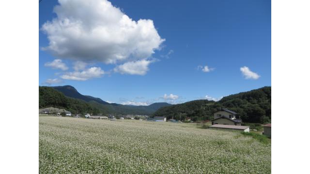青木村オリジナルブランド　蕎麦タチアカネ推進プロジェクト　～タチアカネで立ち上がれ～