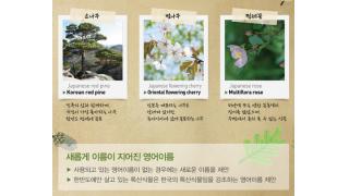 韓国が松の英名「Japanese red pine」を「Korean red pine」に変更しろと主張しリスト作成