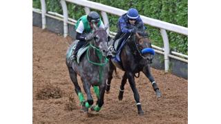 音無厩舎、今週はミルコで２週連続重賞Ｖだ／七夕賞