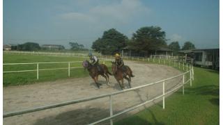 自宅にトレセン　鹿児島・柏木牧場／馬産地九州巡り