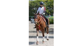 アルマディヴァン夏マイル王へ逆転Ｖだ／京成杯ＡＨ