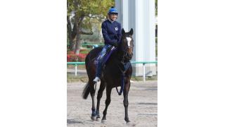 ３歳ヤングマンパワー精神面安定／京成杯ＡＨ