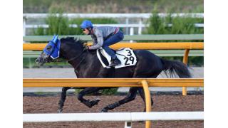 エイシンヒカリ、武豊を背に圧逃デモ／毎日王冠