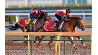 メジャーエンブレム古馬２頭ぶっちぎった／阪神ＪＦ
