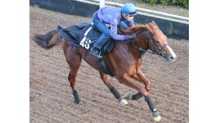 武豊、エアスピネルで全冠だ　香港Ｃ制覇で勢い