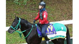 ミルコ＆角居厩舎、３週連続重賞Ｖ狙う／朝日杯ＦＳ