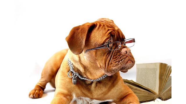 間違いクリックを探せ【ヤマタクのWEBマーケティング】第62号