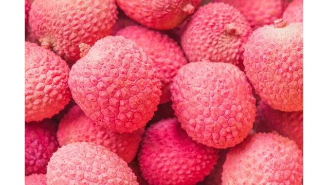 【生放送！】９月12日(火)　本日20時からマママ！マイクロコピー