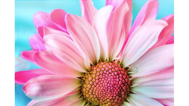 【本日公開】『一生モノ』となる時間の考え方、超生産性セミナー