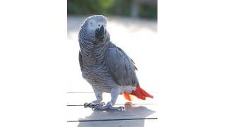 自分で創りだそうとするなカス！【ヤマタクのWEBマーケティング】第３９号