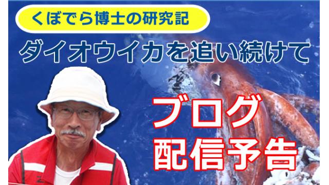 窪寺博士のダイオウイカ研究記  ブログ配信開始のお知らせ