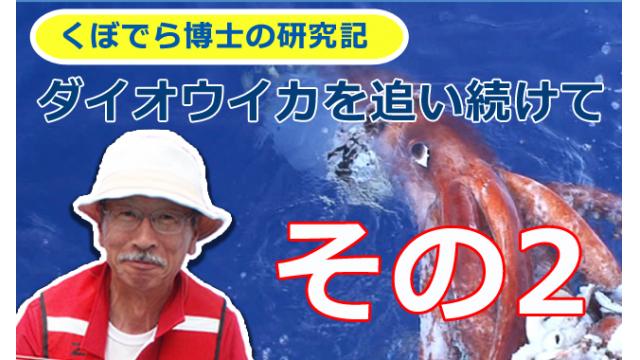 窪寺博士のダイオウイカ研究記－その２