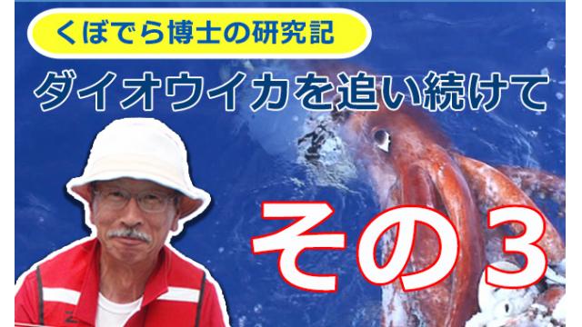 窪寺博士のダイオウイカ研究記－その３