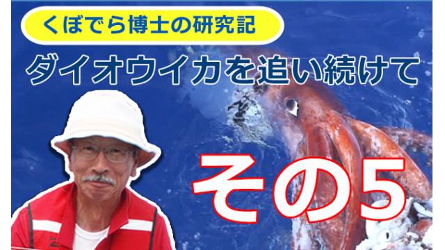 窪寺博士のダイオウイカ研究記－その５
