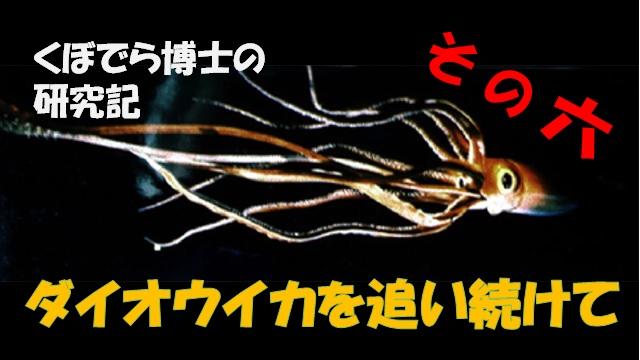 窪寺博士のダイオウイカ研究記 - その６