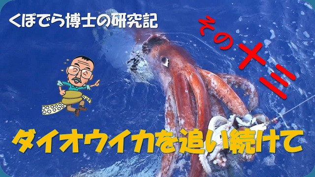 窪寺博士のダイオウイカ研究記－その１3