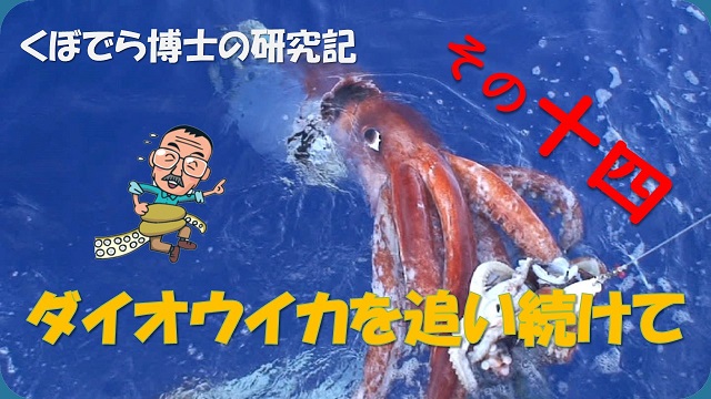 窪寺博士のダイオウイカ研究記－その１4