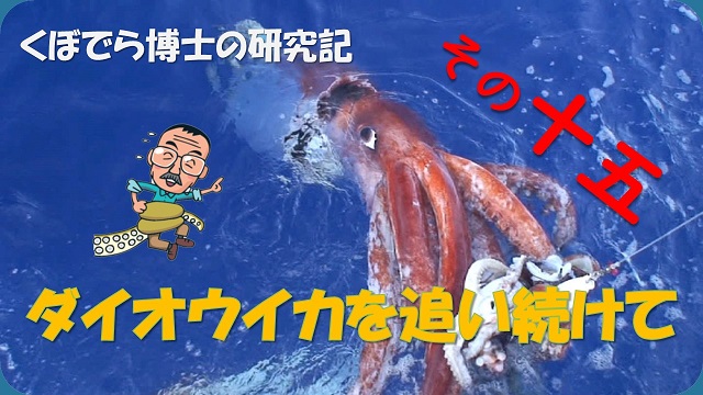 窪寺博士のダイオウイカ研究記－その１5