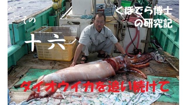 窪寺博士のダイオウイカ研究記－その１６